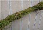 Large Moss Log 3 Feet-Real Moss