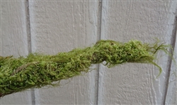 Moss Branch 8"-12"