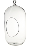 8" Glass Capsule Plant Orb/Terrarium