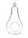 glass bulb orb terrarium