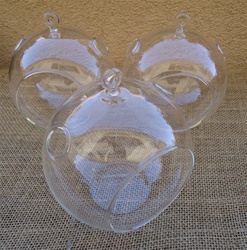 3 Pack-5.5" Glass Plant Orb
